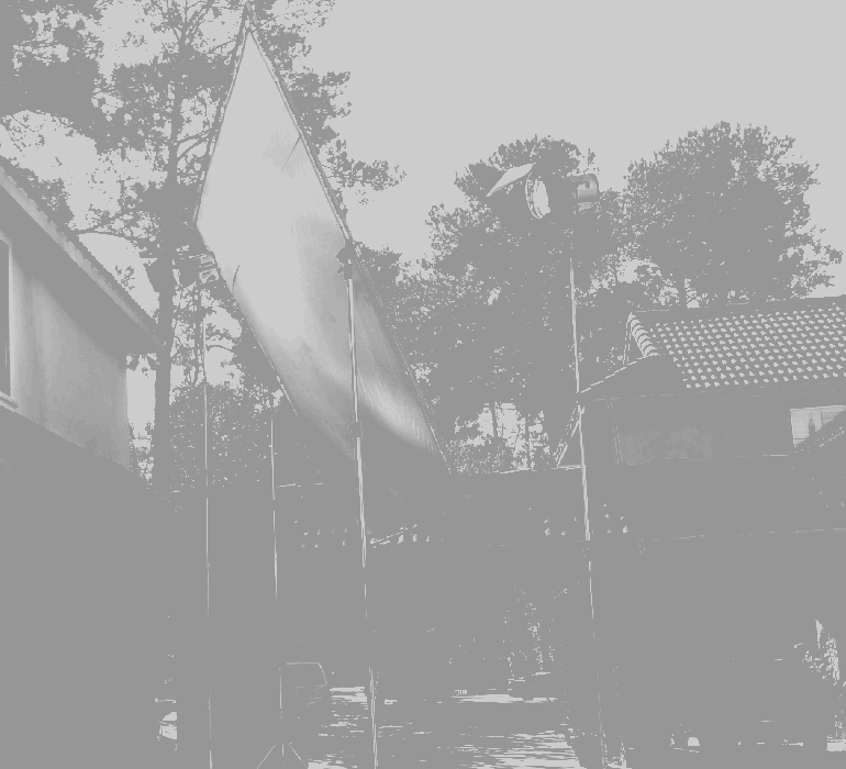 Leaves of the Tree : GAFFER - HOUSTON